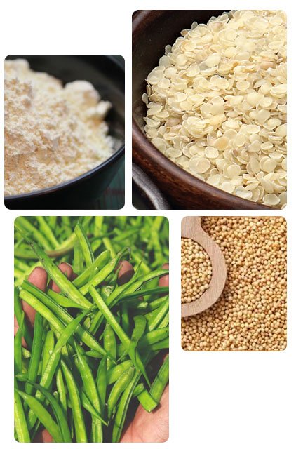 about guar gum
